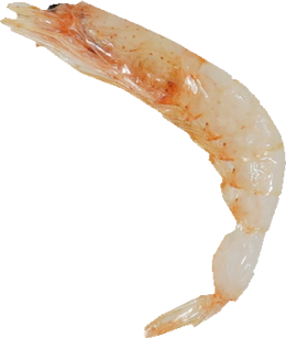 さくらえび（素干し）｜商用可フリー画像・背景透過