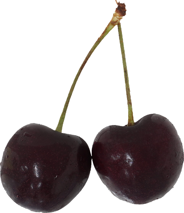 さくらんぼ（アメリカンチェリー）｜商用可フリー画像・背景透過