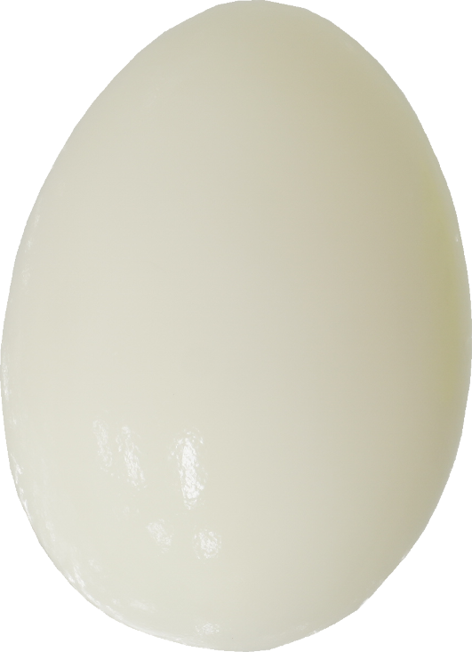 鶏卵｜商用可フリー画像・背景透過