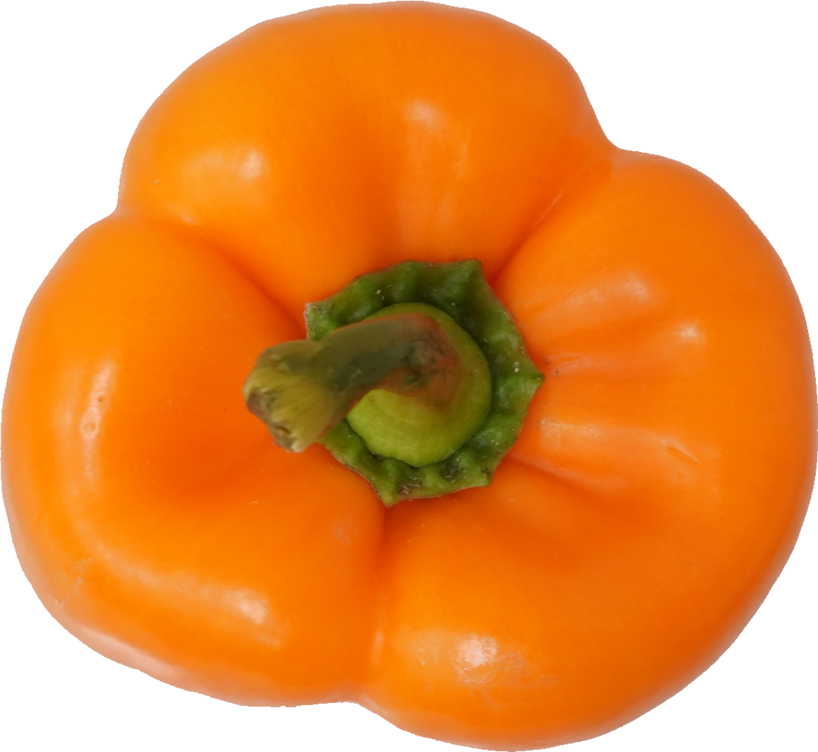パプリカ｜商用可フリー画像・背景透過