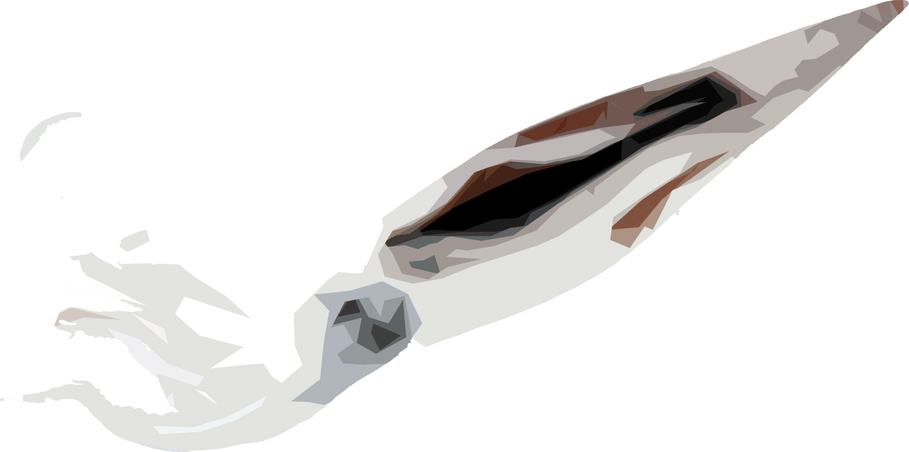 いかのイラスト｜商用可フリー画像・背景透過