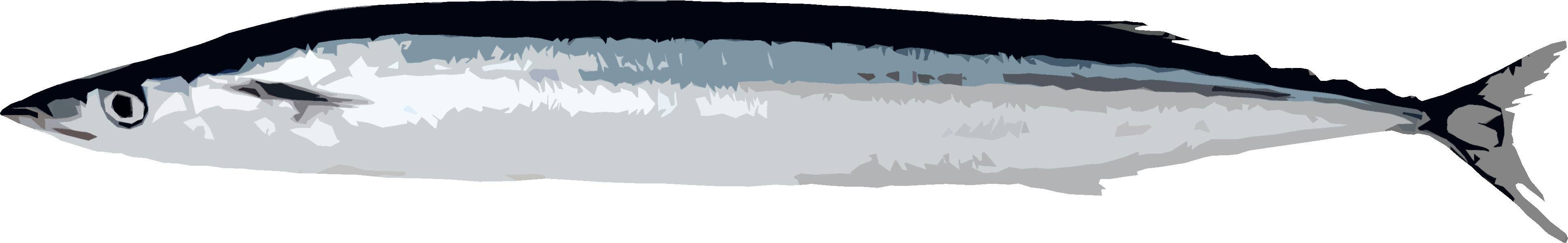 さんまのイラスト｜商用可フリー画像・背景透過