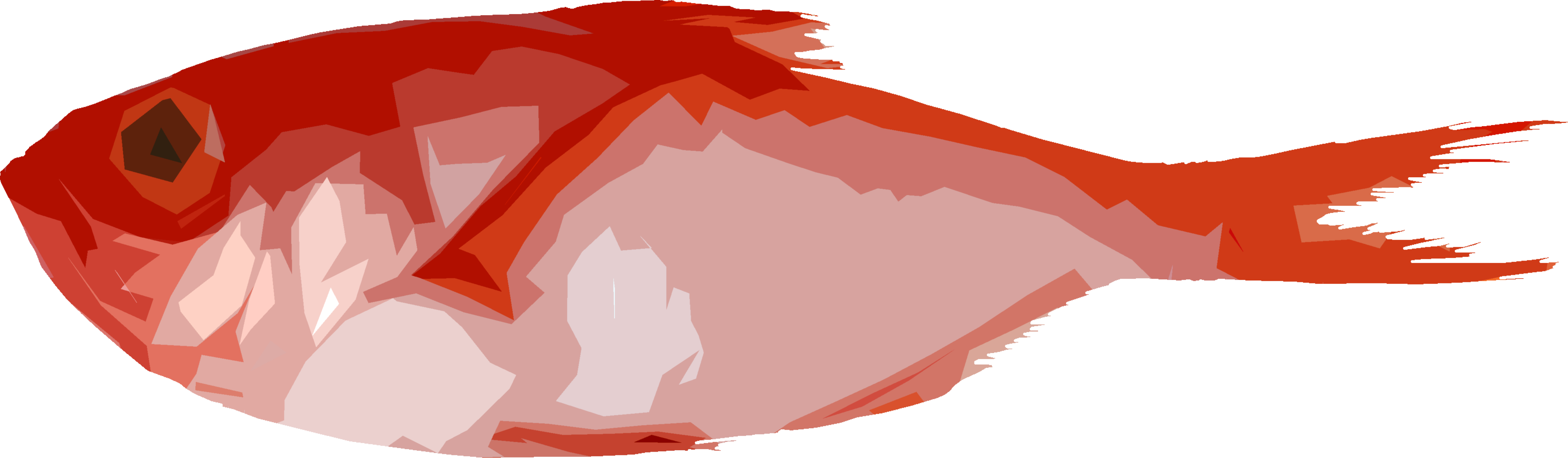 きんめだいのイラスト｜商用可フリー画像・背景透過