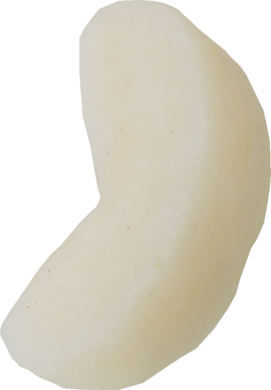 日本なし｜商用可フリー画像・背景透過