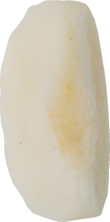 日本なし｜商用可フリー画像・背景透過