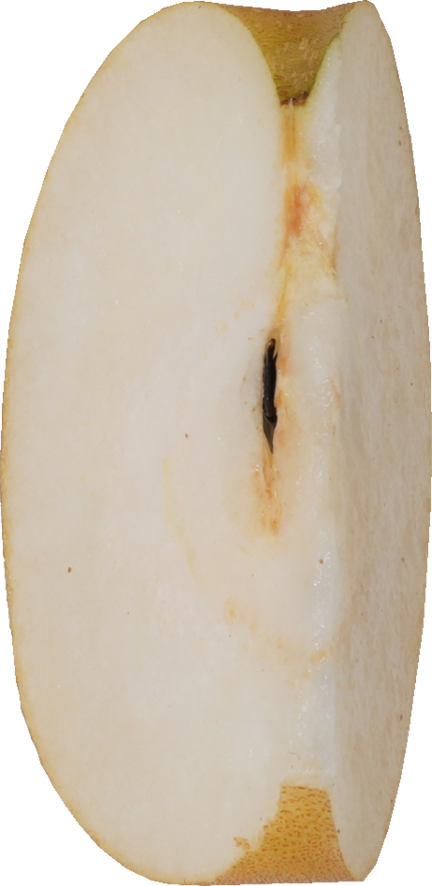 日本なし｜商用可フリー画像・背景透過