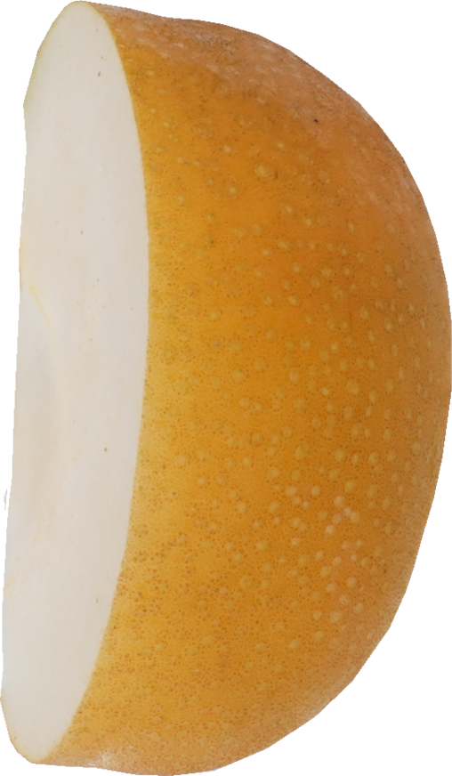 日本なし｜商用可フリー画像・背景透過