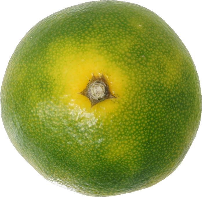 みかん｜商用可フリー画像・背景透過