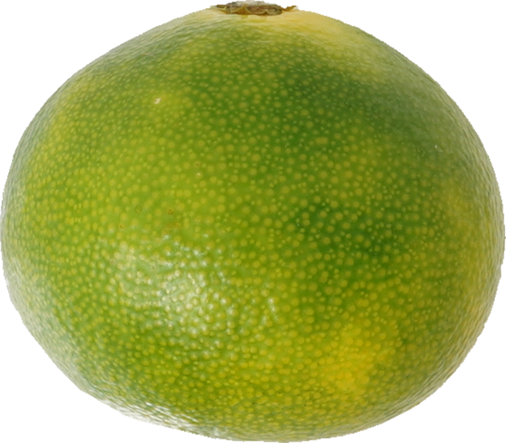 みかん｜商用可フリー画像・背景透過