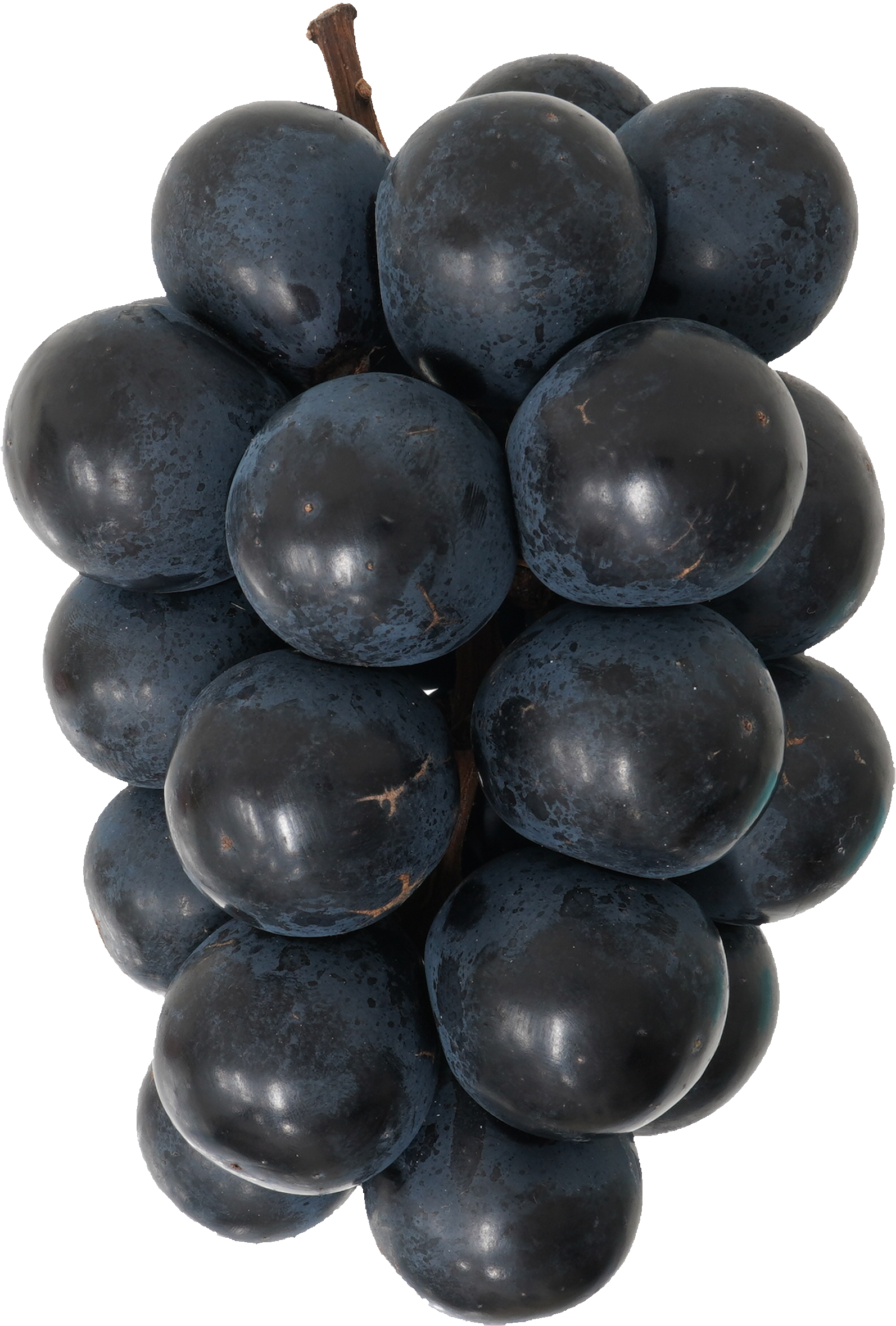 ぶどう(ナガノパープル)｜商用可フリー画像・背景透過