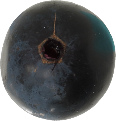 ぶどう(ナガノパープル)｜商用可フリー画像・背景透過