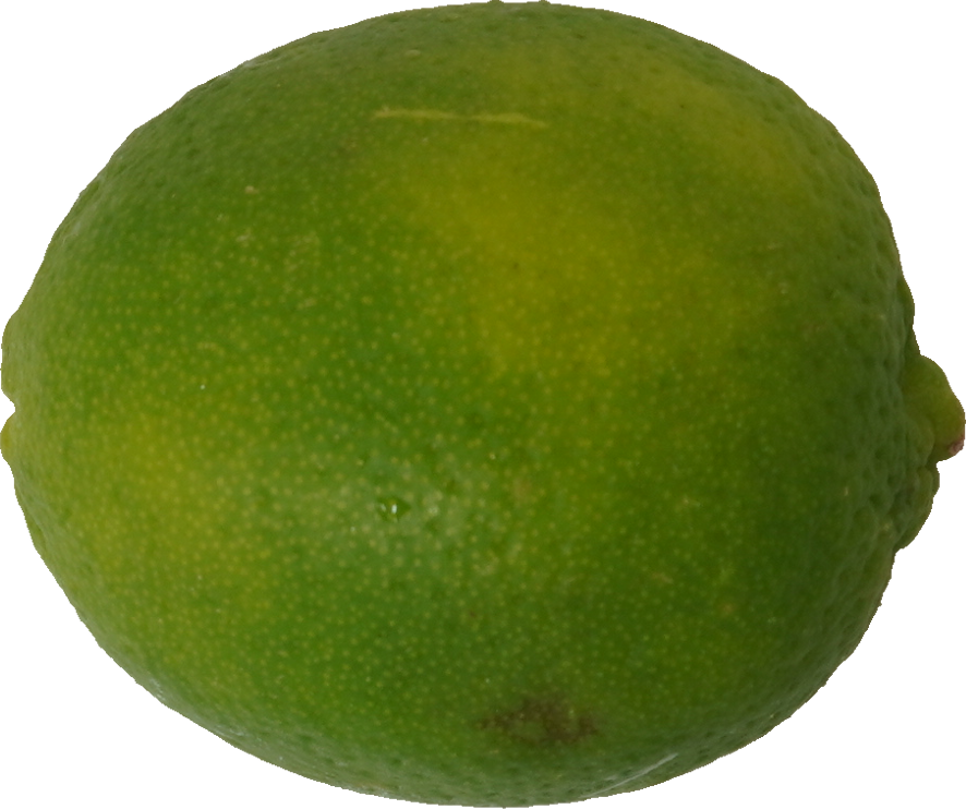ライム｜商用可フリー画像・背景透過