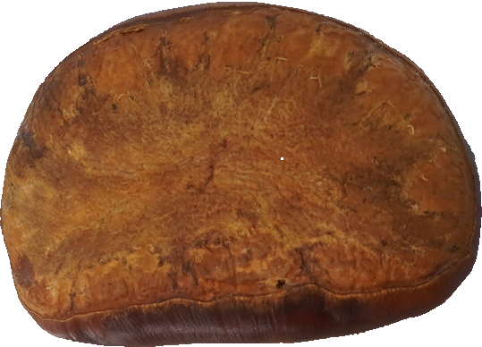 日本ぐり｜商用可フリー画像・背景透過