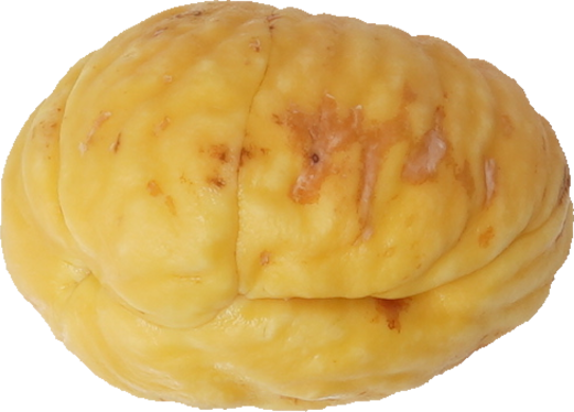 日本ぐり｜商用可フリー画像・背景透過