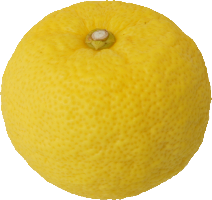 ゆず｜商用可フリー画像・背景透過