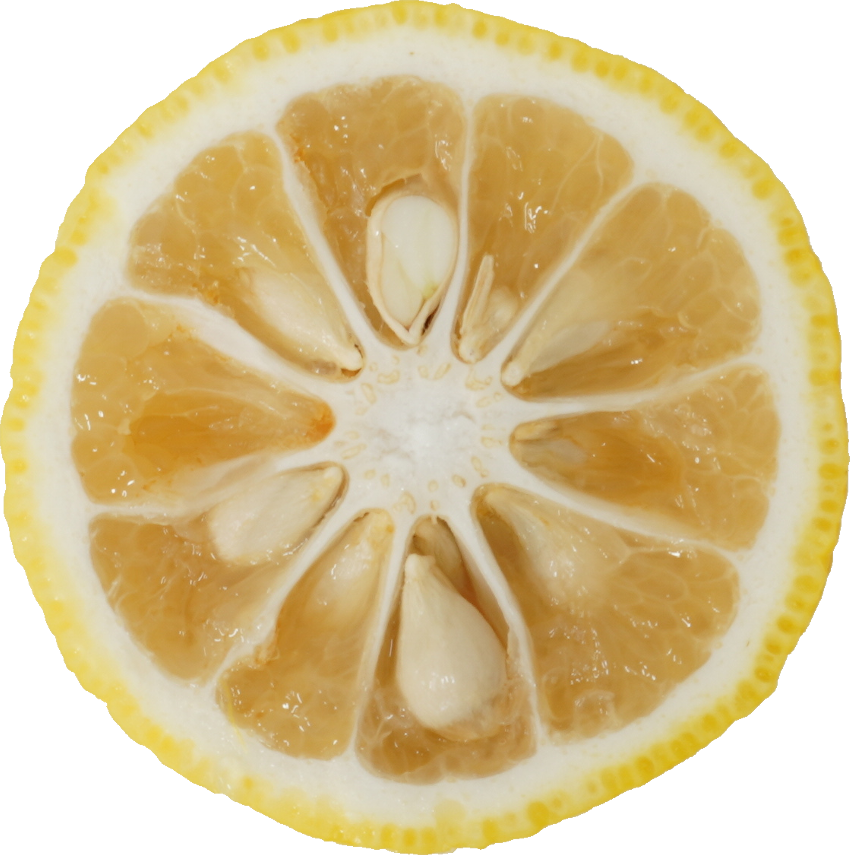 ゆず｜商用可フリー画像・背景透過