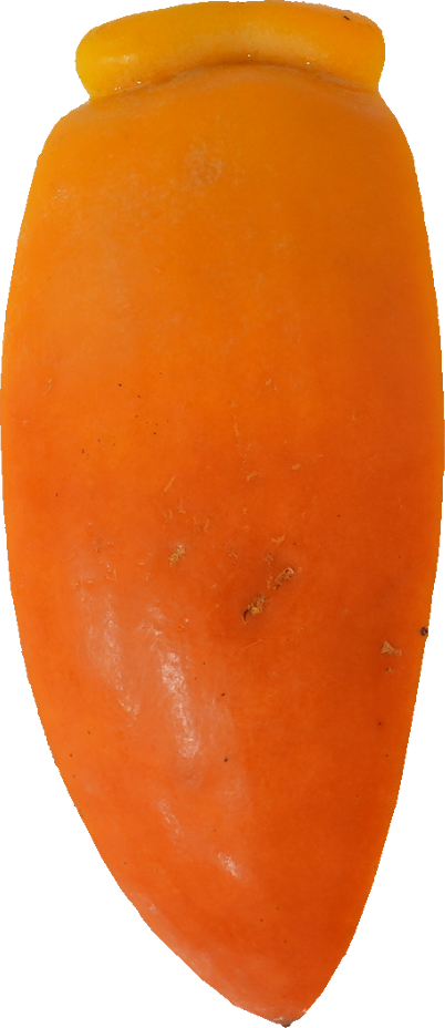 かき【筆柿】｜商用可フリー画像・背景透過