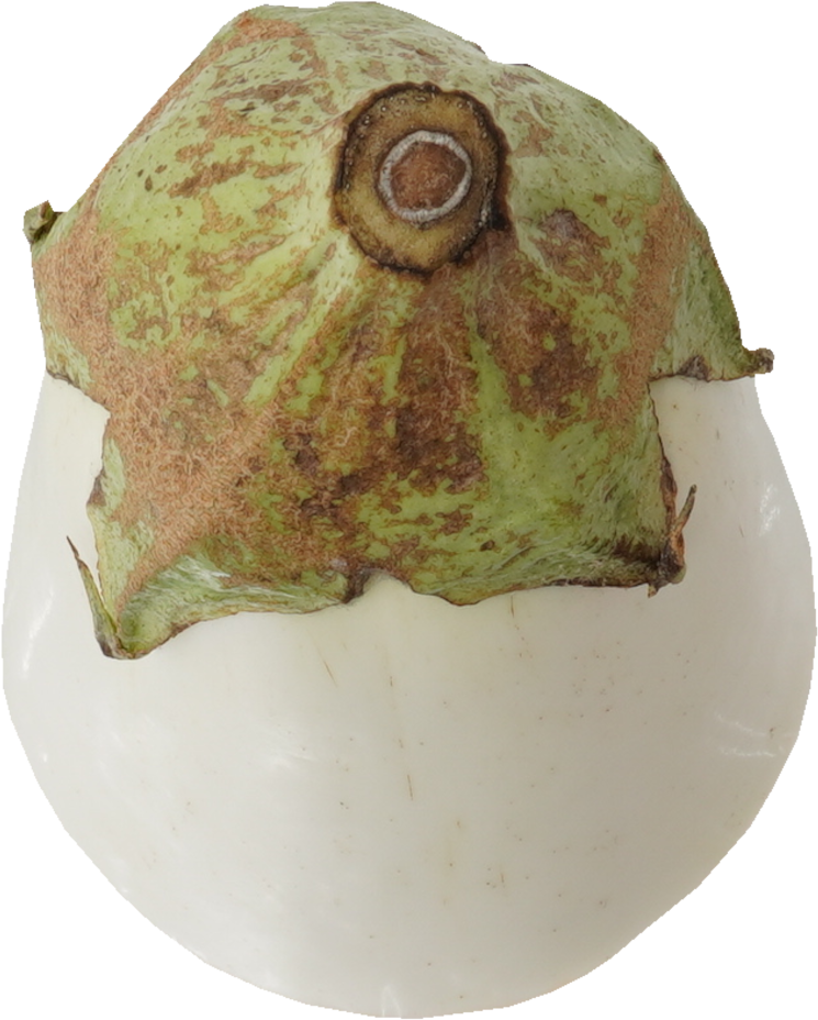 なす｜商用可フリー画像・背景透過