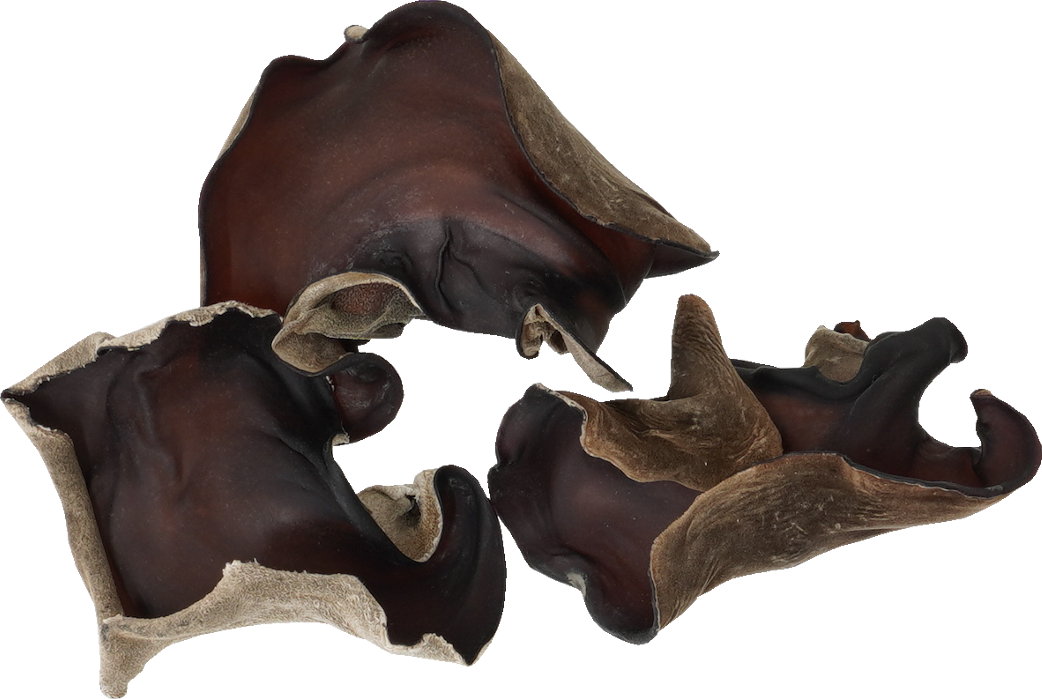 きくらげ（乾）｜商用可フリー画像・背景透過