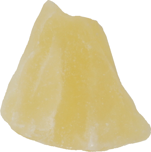 パインアップル（乾）｜商用可フリー画像・背景透過