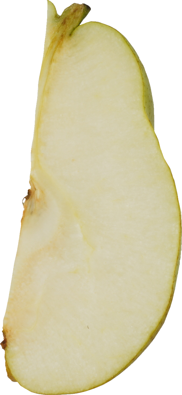 西洋なし【洋なし】｜商用可フリー画像・背景透過