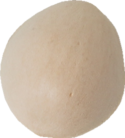 ぎんなん｜商用可フリー画像・背景透過