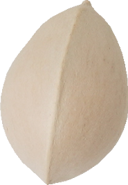 ぎんなん｜商用可フリー画像・背景透過