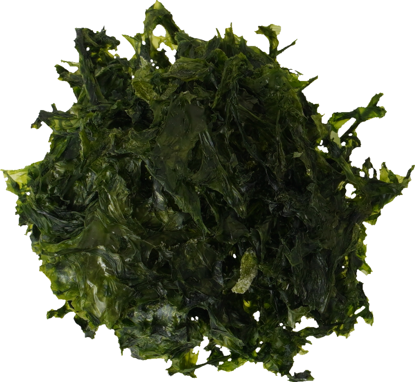 あおさのり｜商用可フリー画像・背景透過