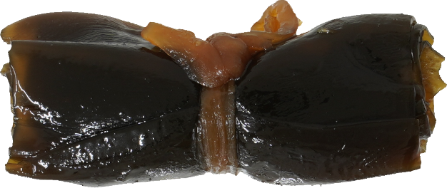 にしんの昆布巻き｜商用可フリー画像・背景透過