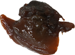 あさり_つくだ煮｜商用可フリー画像・背景透過