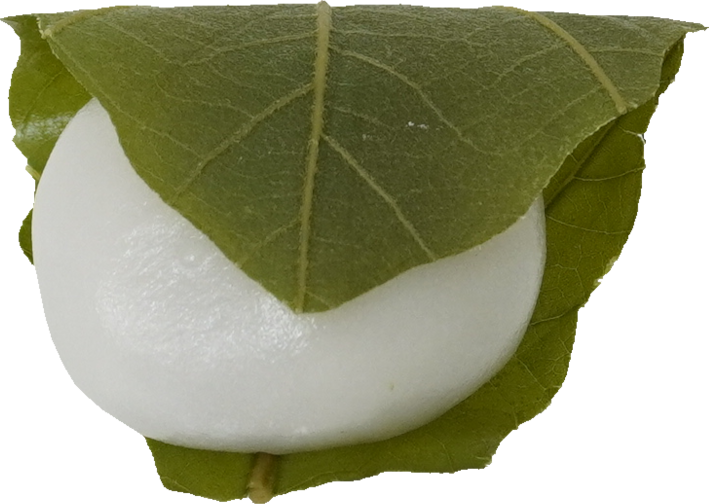 かしわもち｜商用可フリー画像・背景透過