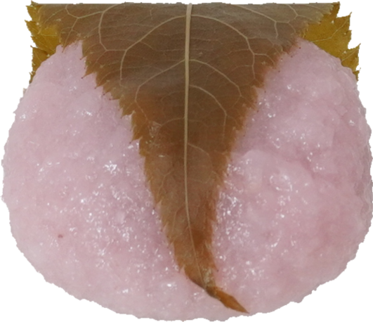 桜もち｜商用可フリー画像・背景透過