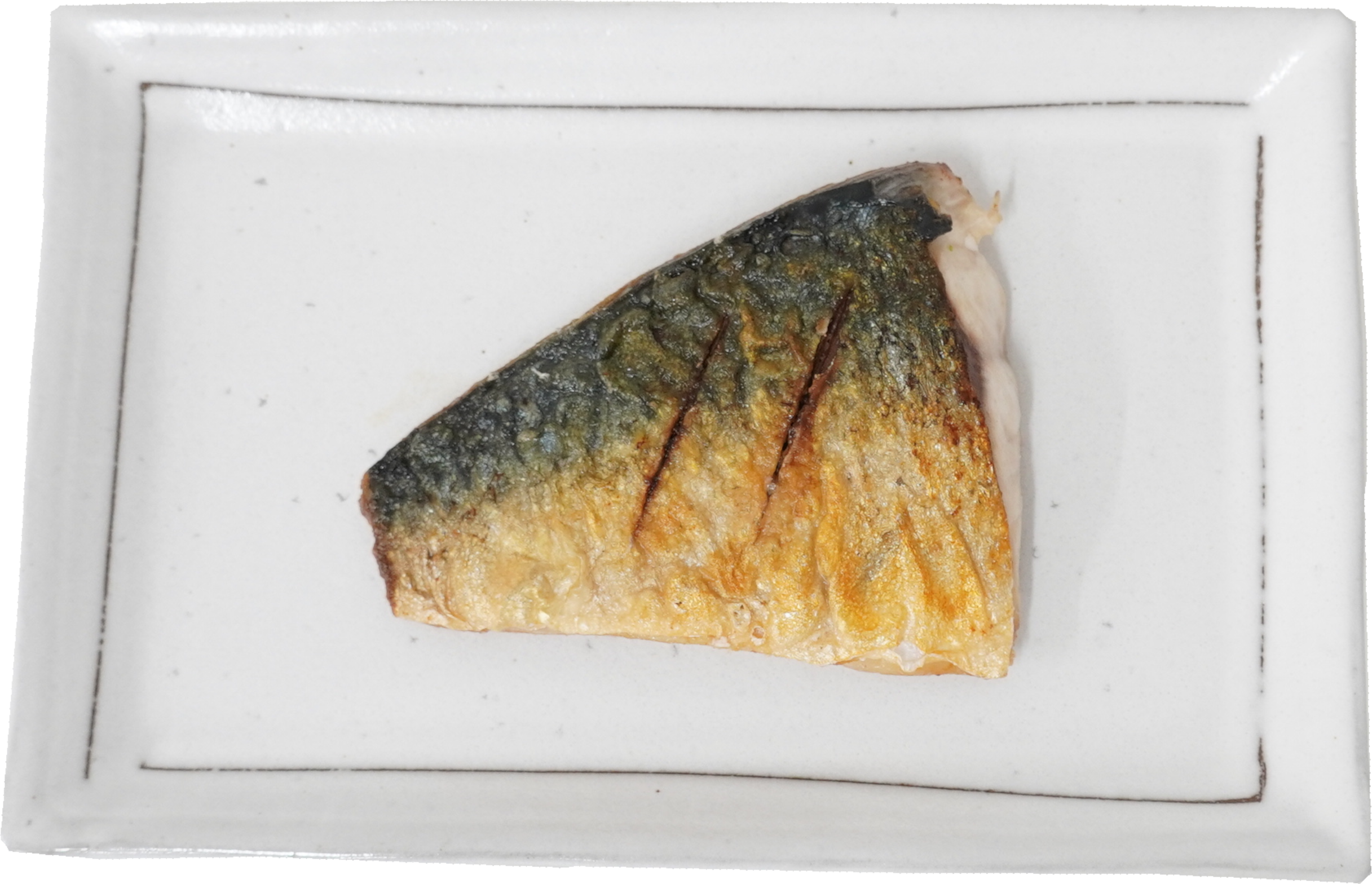 さば｜商用可フリー画像・背景透過