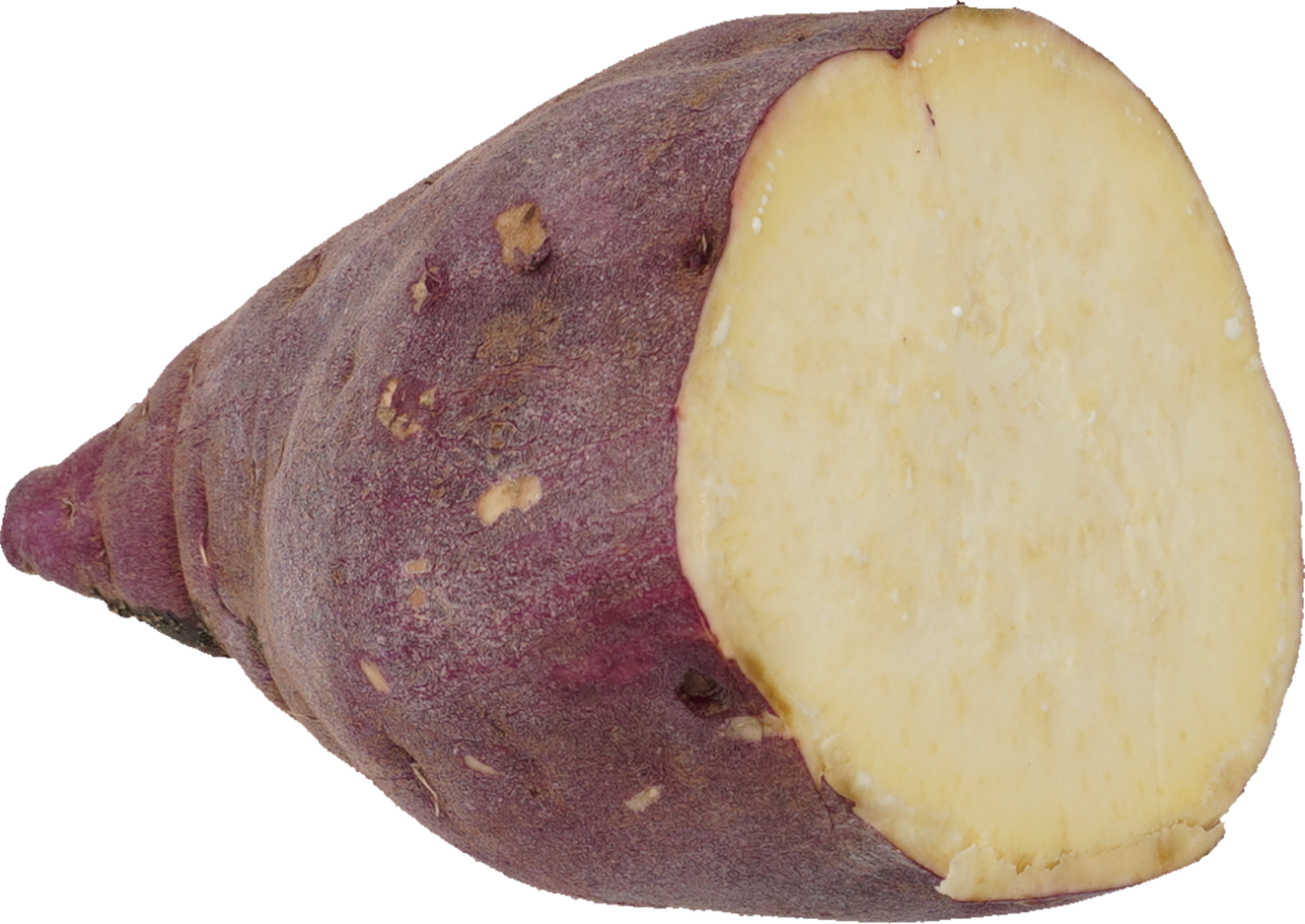 さつまいも｜商用可フリー画像・背景透過