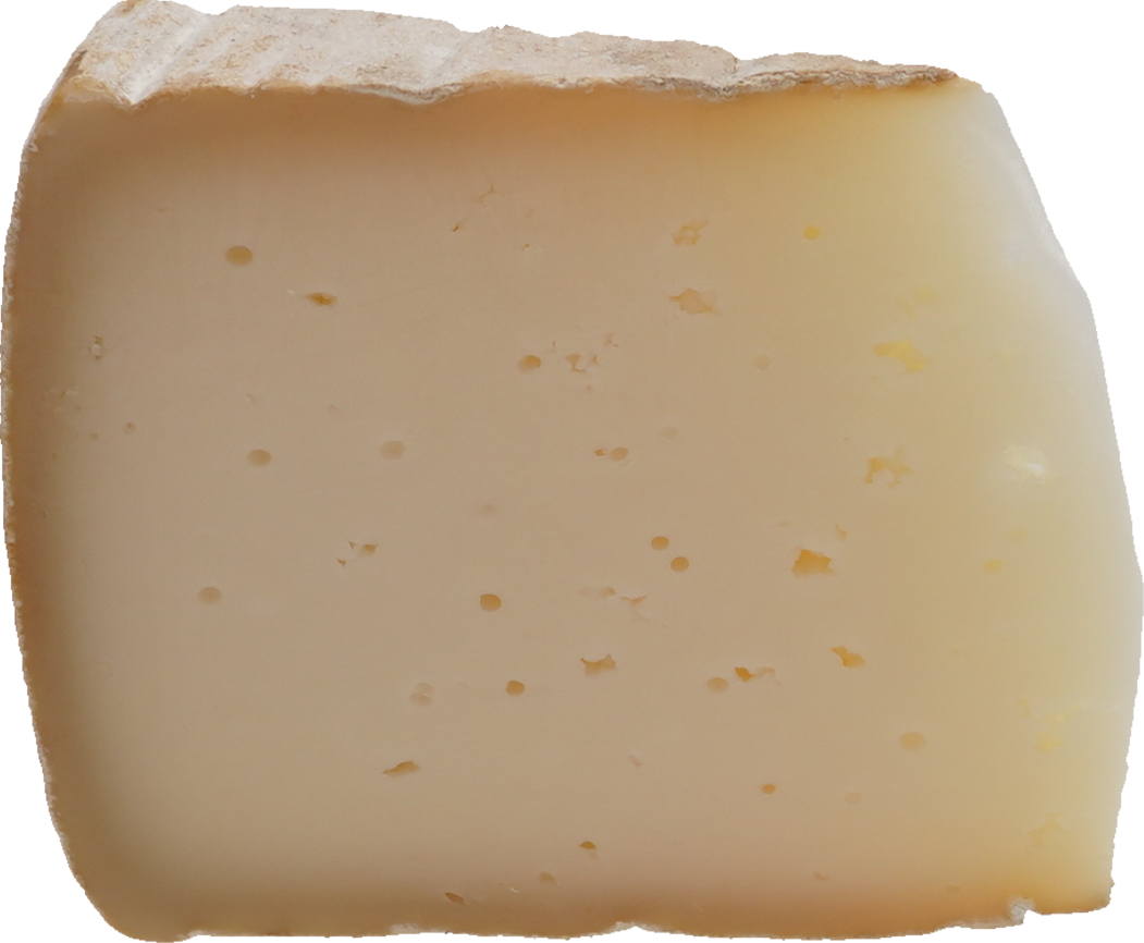 ナチュラルチーズ（オーリ）｜商用可フリー画像・背景透過