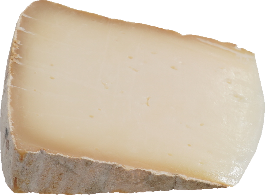 ナチュラルチーズ（オーリ）｜商用可フリー画像・背景透過