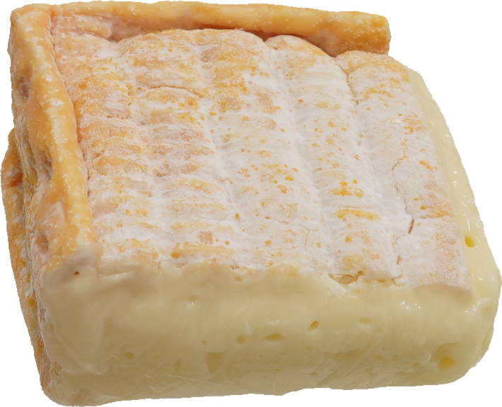 ナチュラルチーズ（ポンレヴェック）｜商用可フリー画像・背景透過