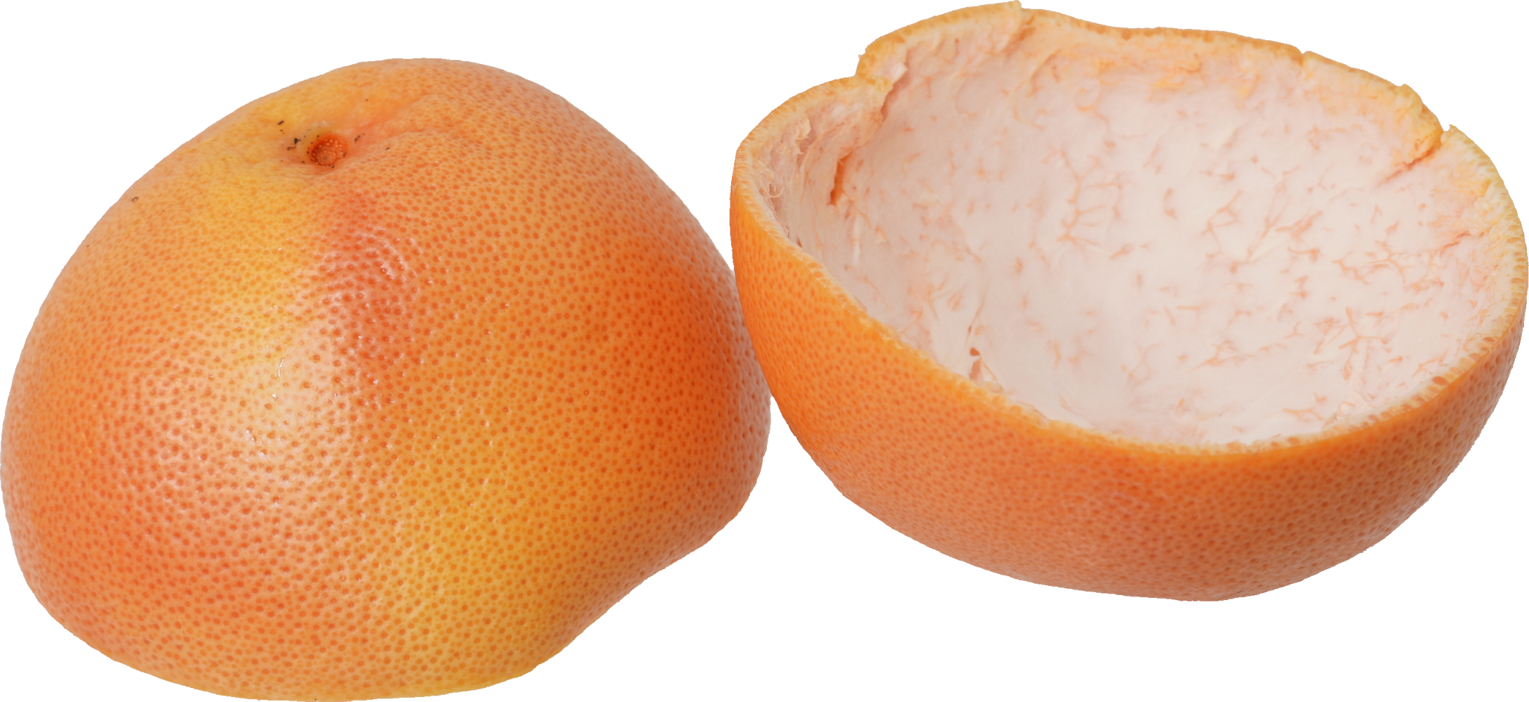 グレープフルーツ（ピンク）｜商用可フリー画像・背景透過