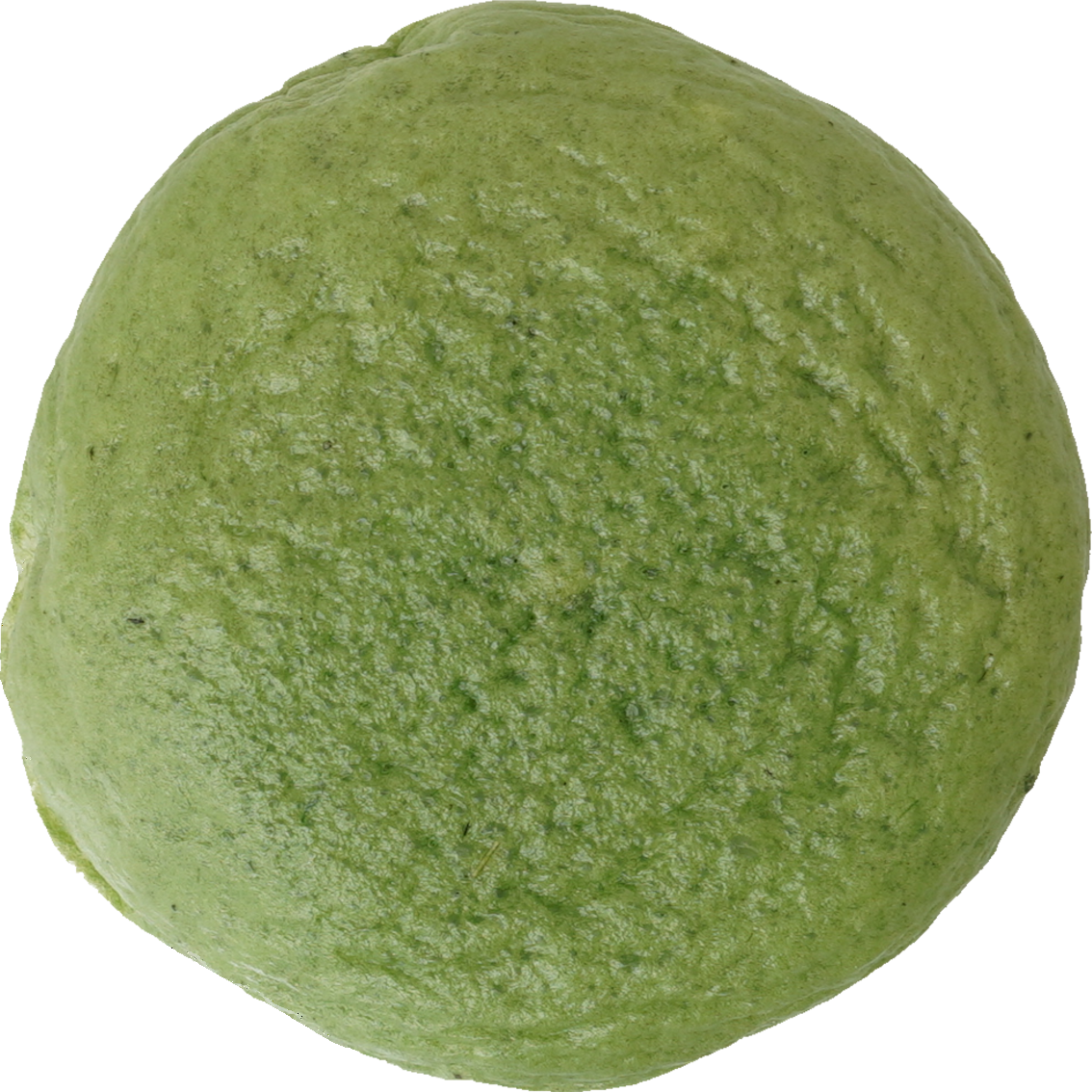 よもぎまんじゅう｜商用可フリー画像・背景透過