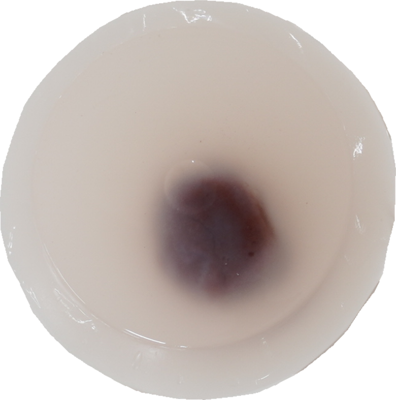 葛まんじゅう｜商用可フリー画像・背景透過