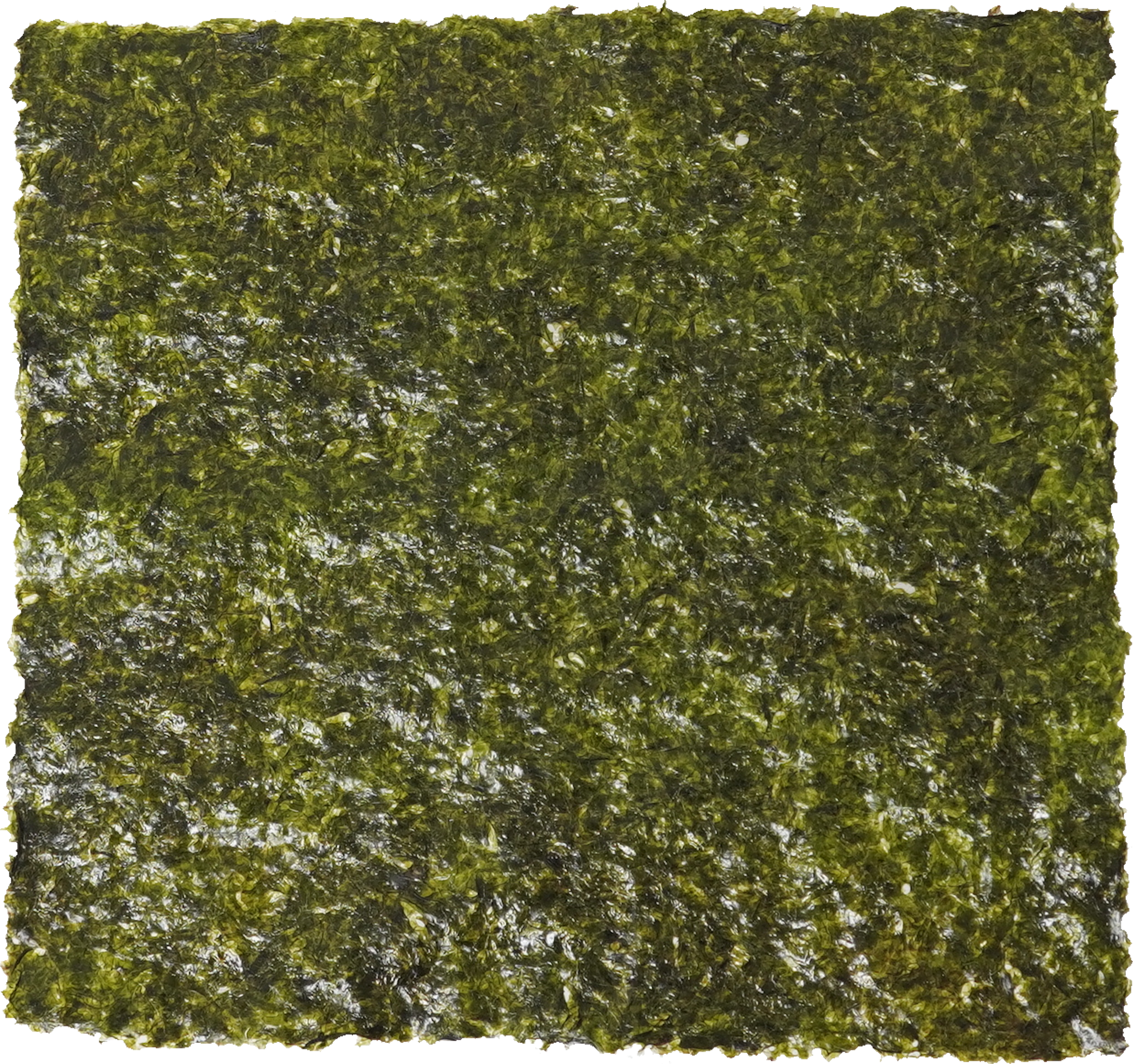 焼きのり｜商用可フリー画像・背景透過