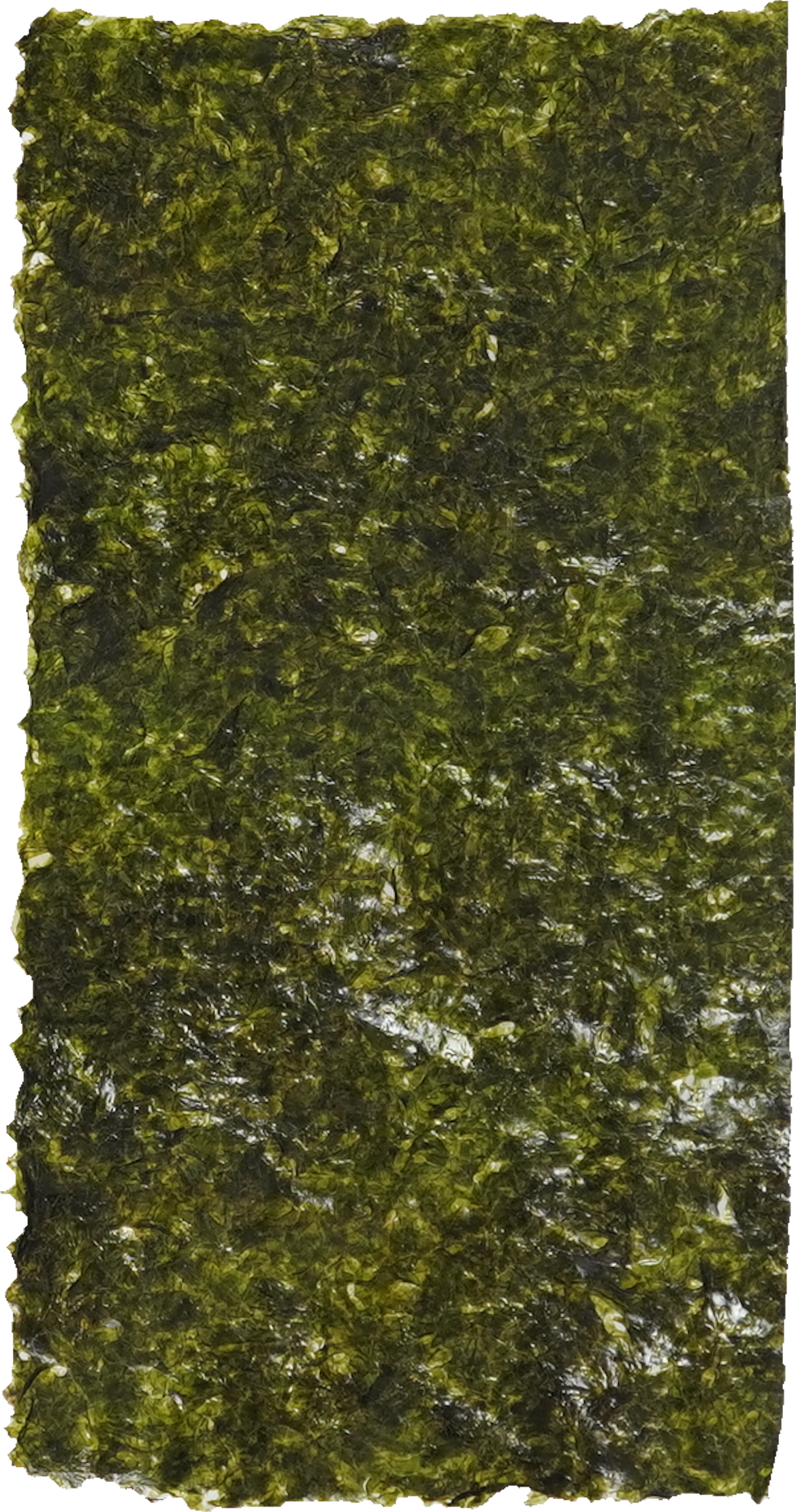 焼きのり｜商用可フリー画像・背景透過