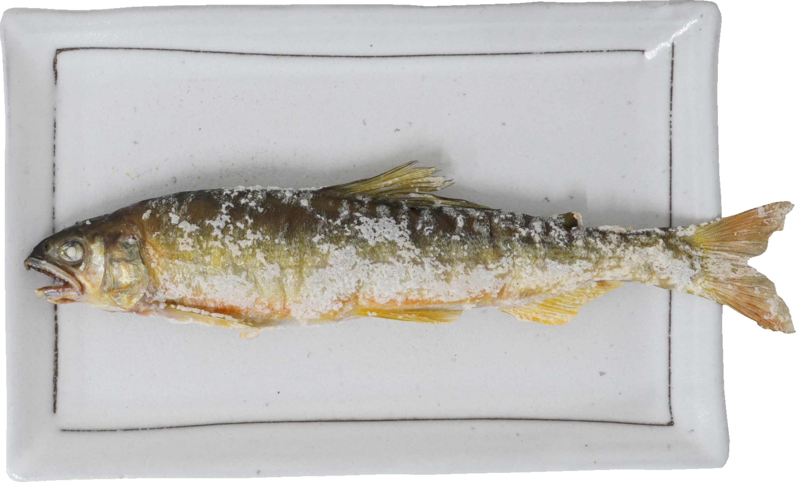 あゆ｜商用可フリー画像・背景透過