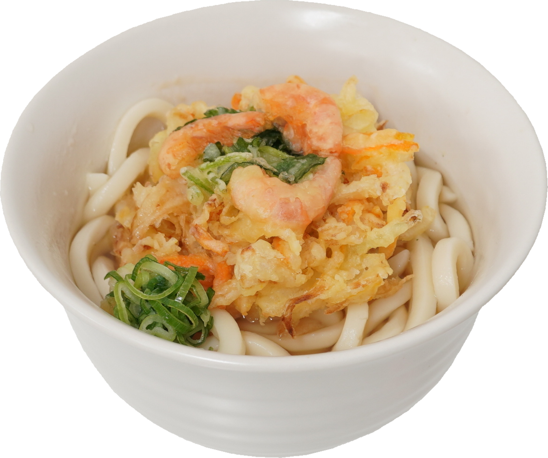 かき揚げうどん｜商用可フリー画像・背景透過