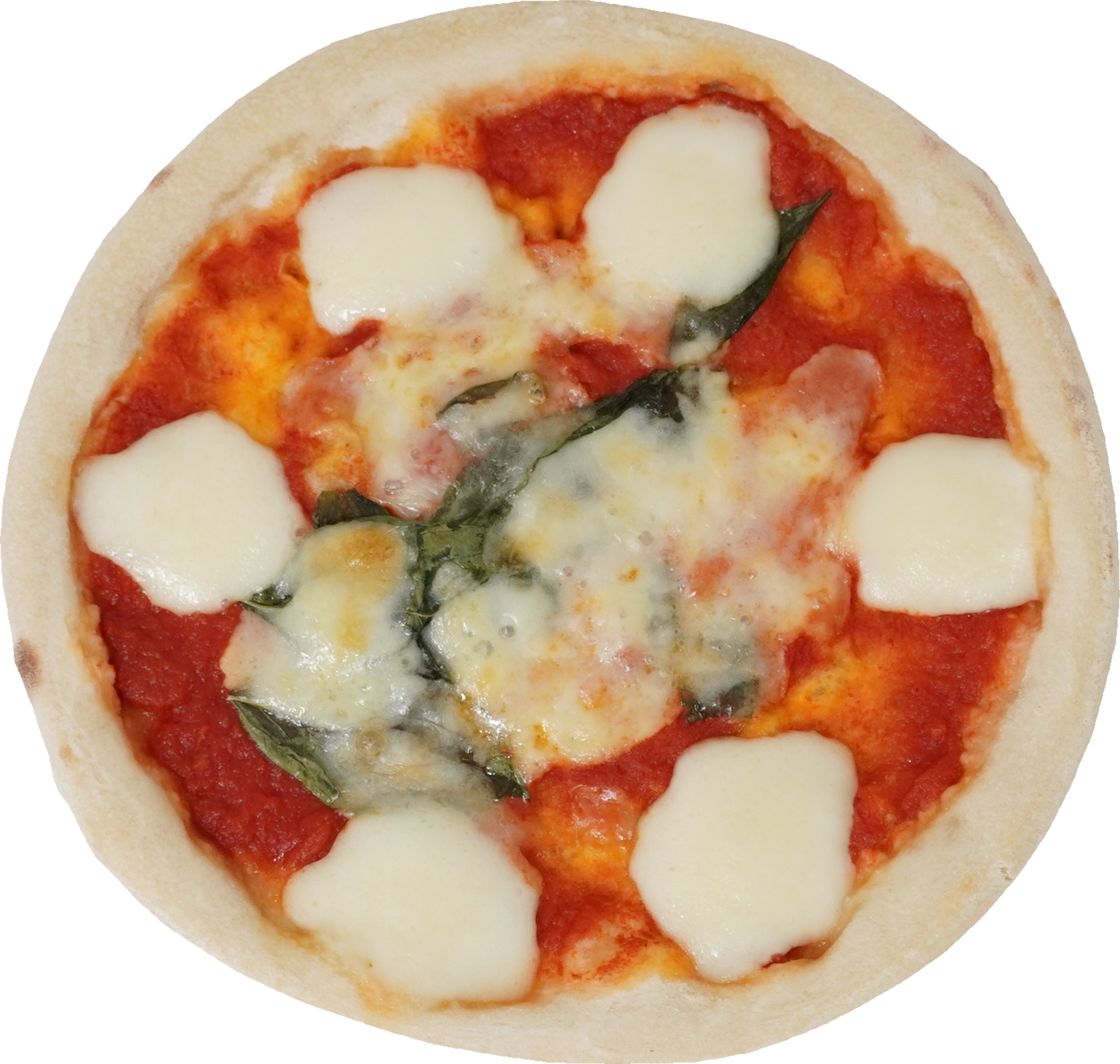 マルゲリータ｜商用可フリー画像・背景透過