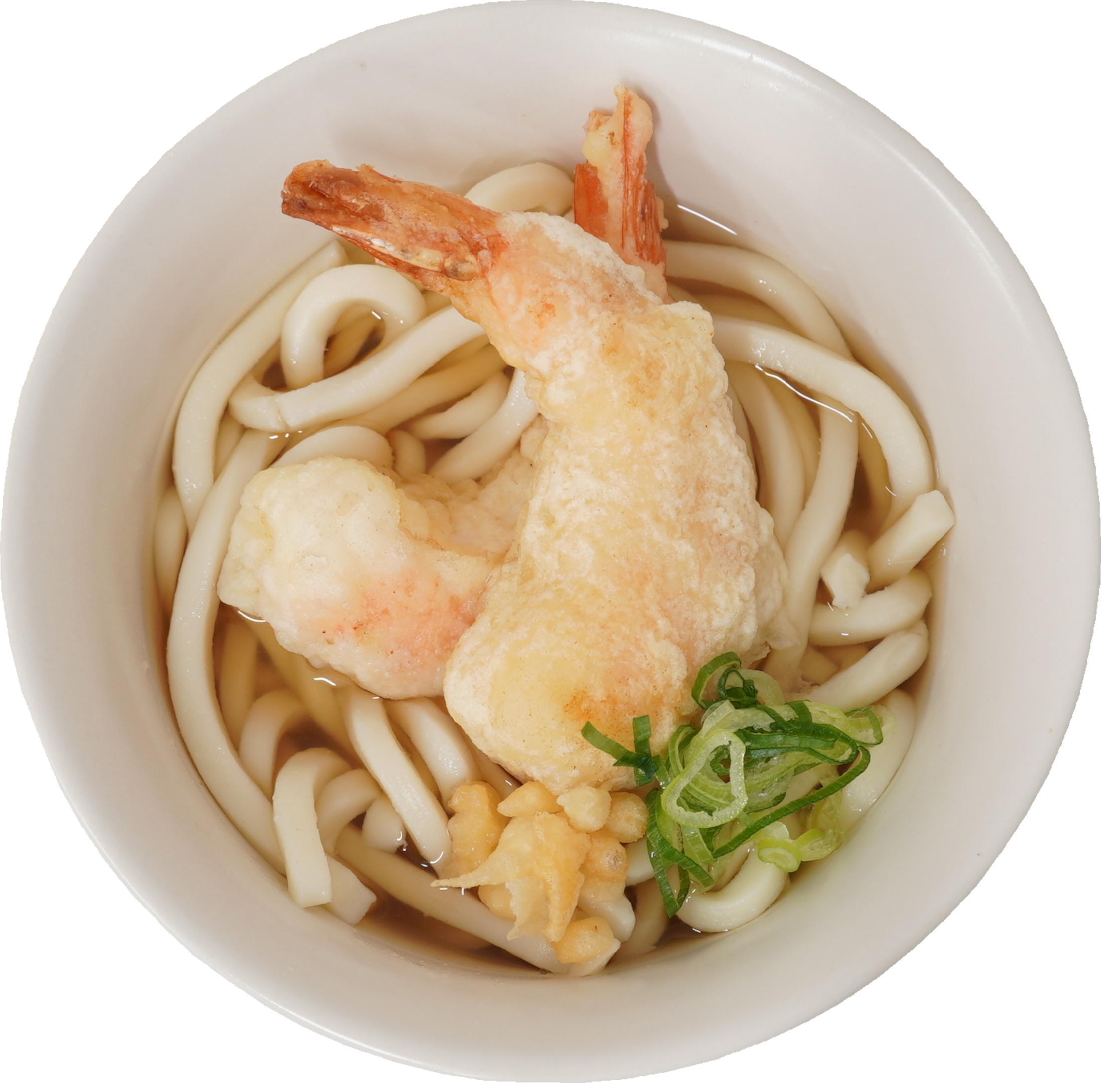天ぷらうどん｜商用可フリー画像・背景透過