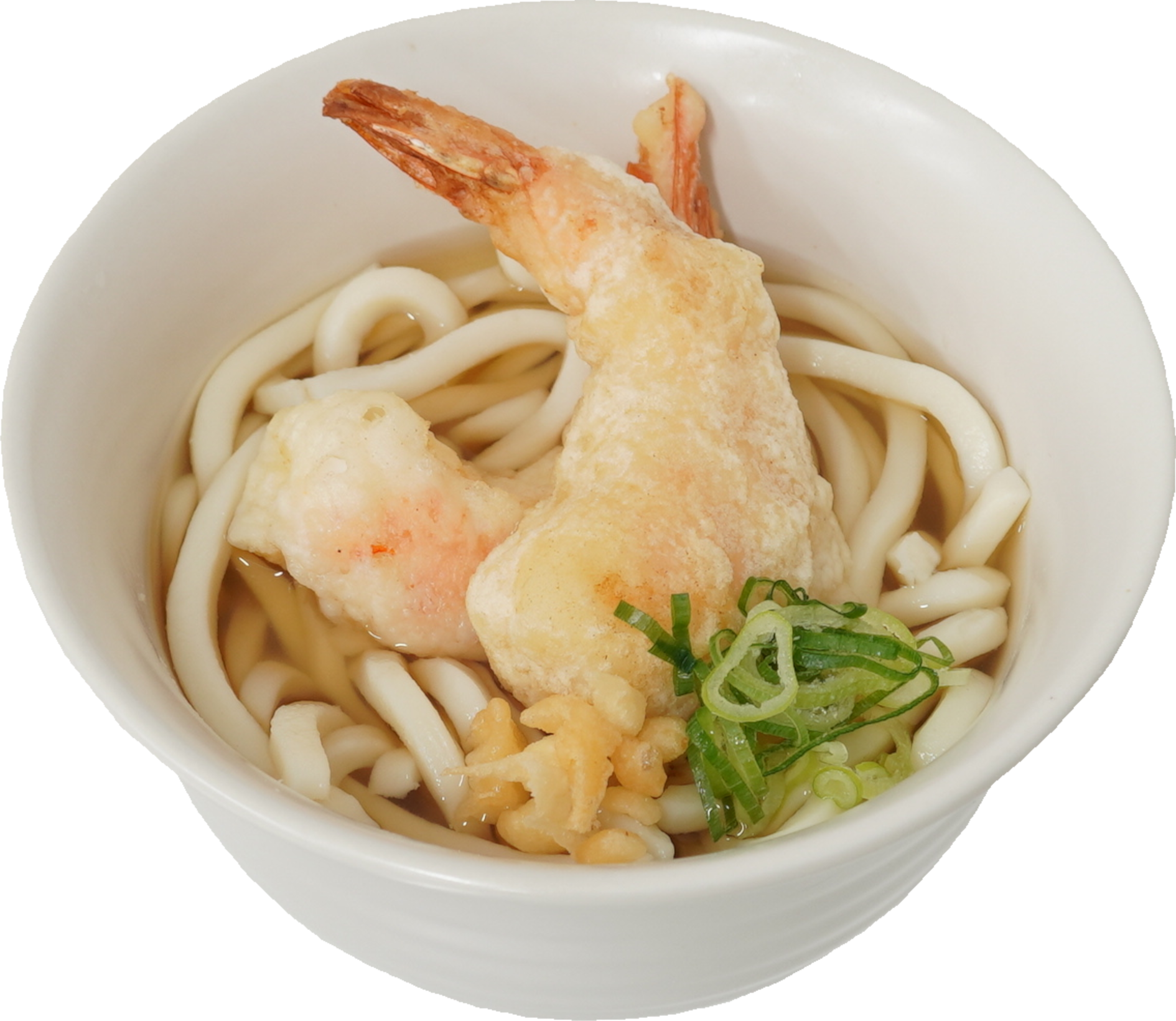 天ぷらうどん｜商用可フリー画像・背景透過