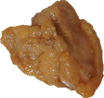 照り焼きチキン｜商用可フリー画像・背景透過