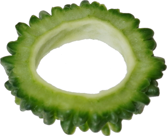 ゴーヤ｜商用可フリー画像・背景透過