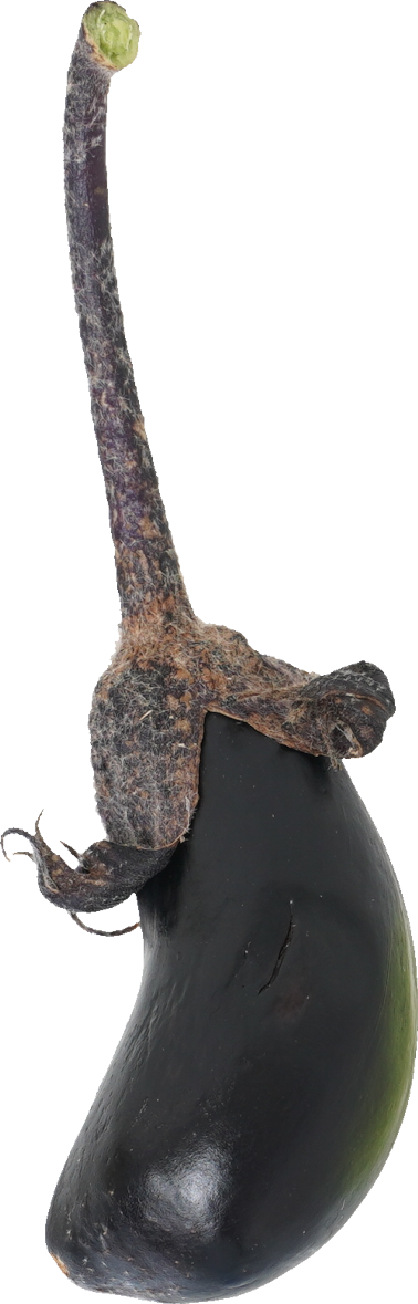 なす｜商用可フリー画像・背景透過